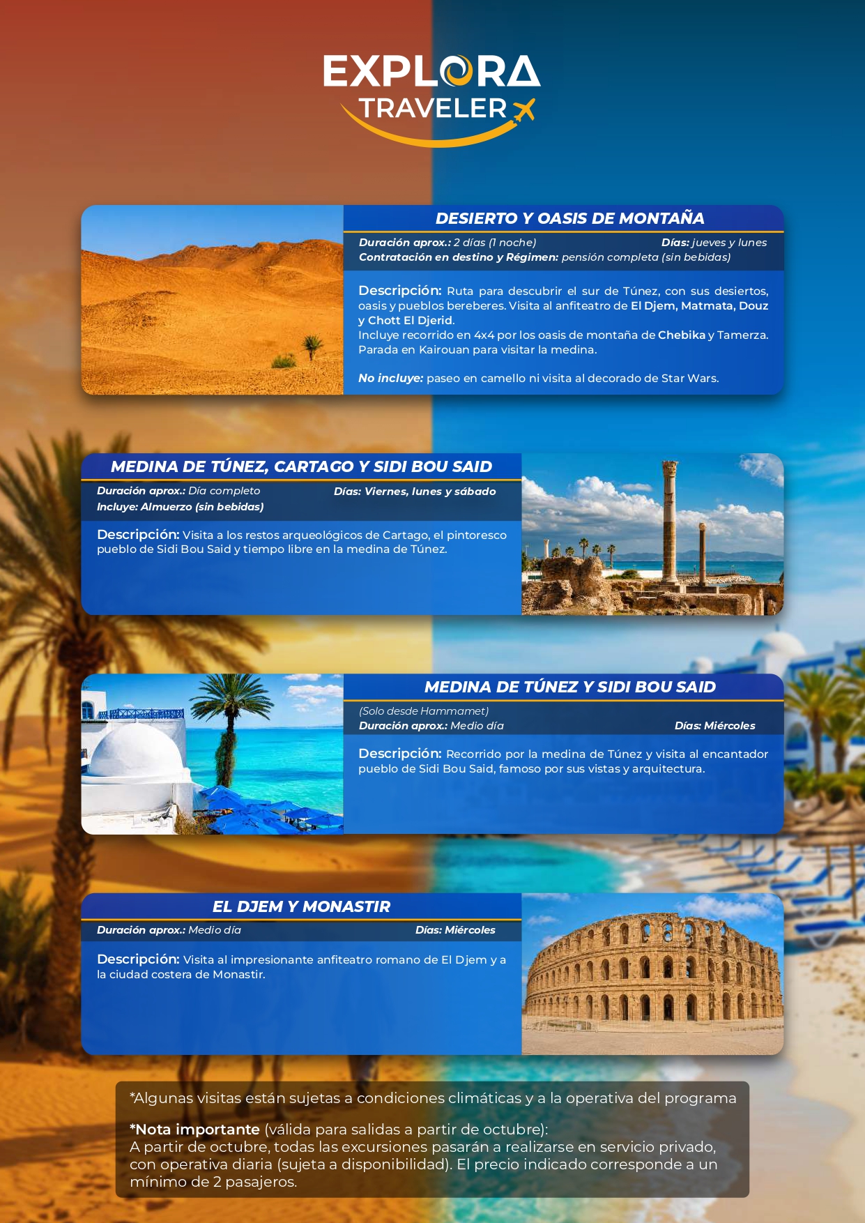 Visitas Opcionales El Verano de Túnez