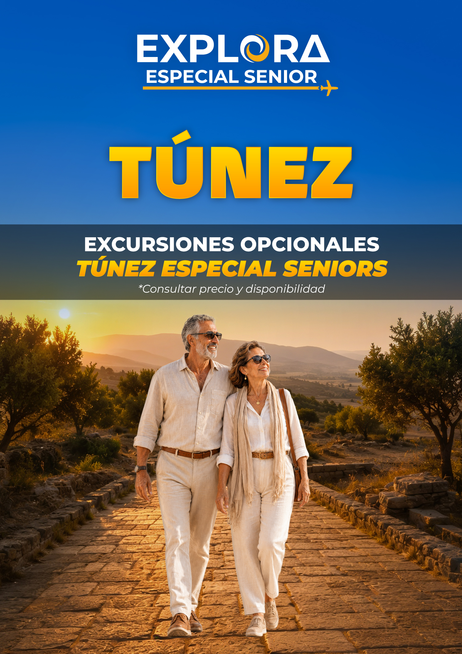 Visitas Opcionales Tunez SENIORs
